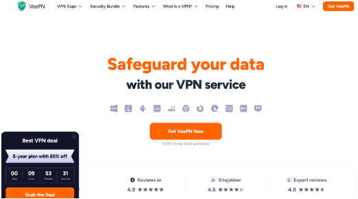 Go To The Website Of The VPN